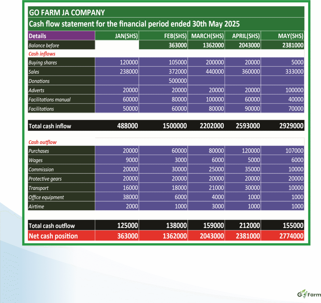 Business Cash Flow Statement